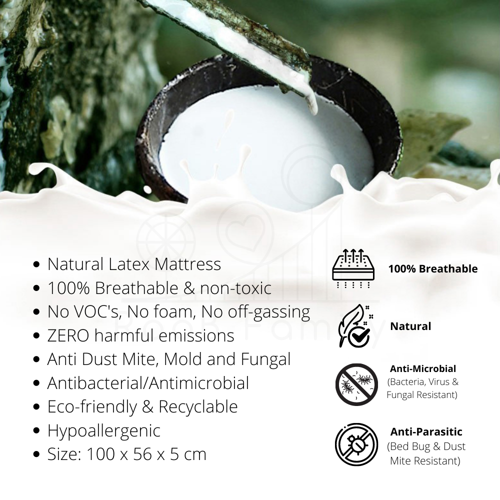 RaaB Family™ Natural Latex Mattress