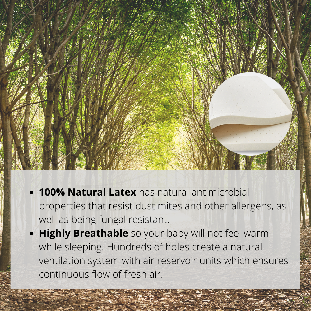 RaaB Family™ Natural Latex Mattress
