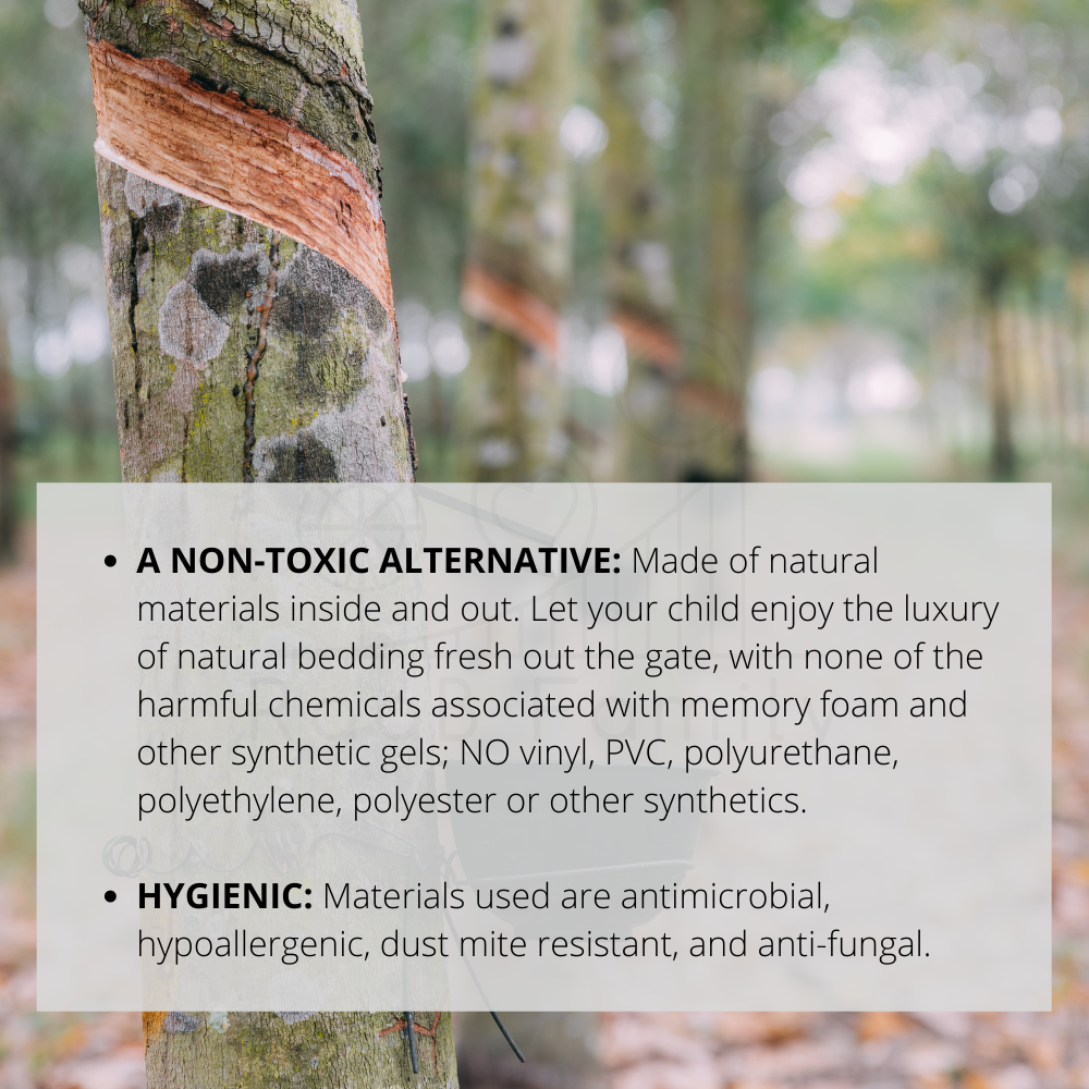 RaaB Family™ Natural Latex Mattress