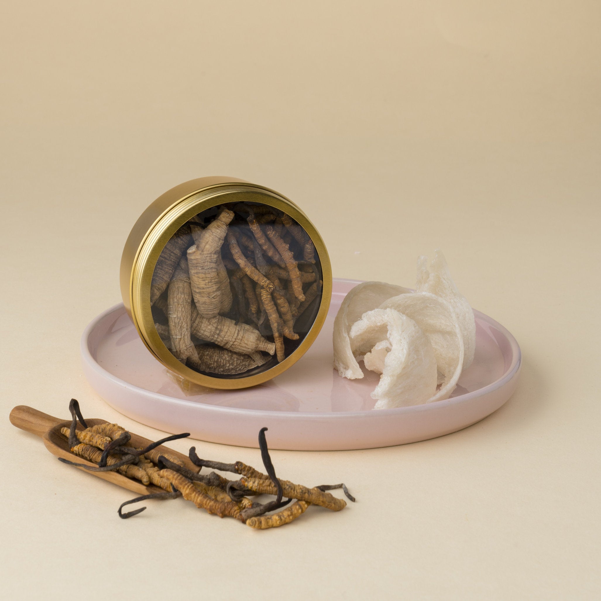 Chong Hoe Birds Nest with Wild American Ginseng and Cordycep 泡参虫草燕窝