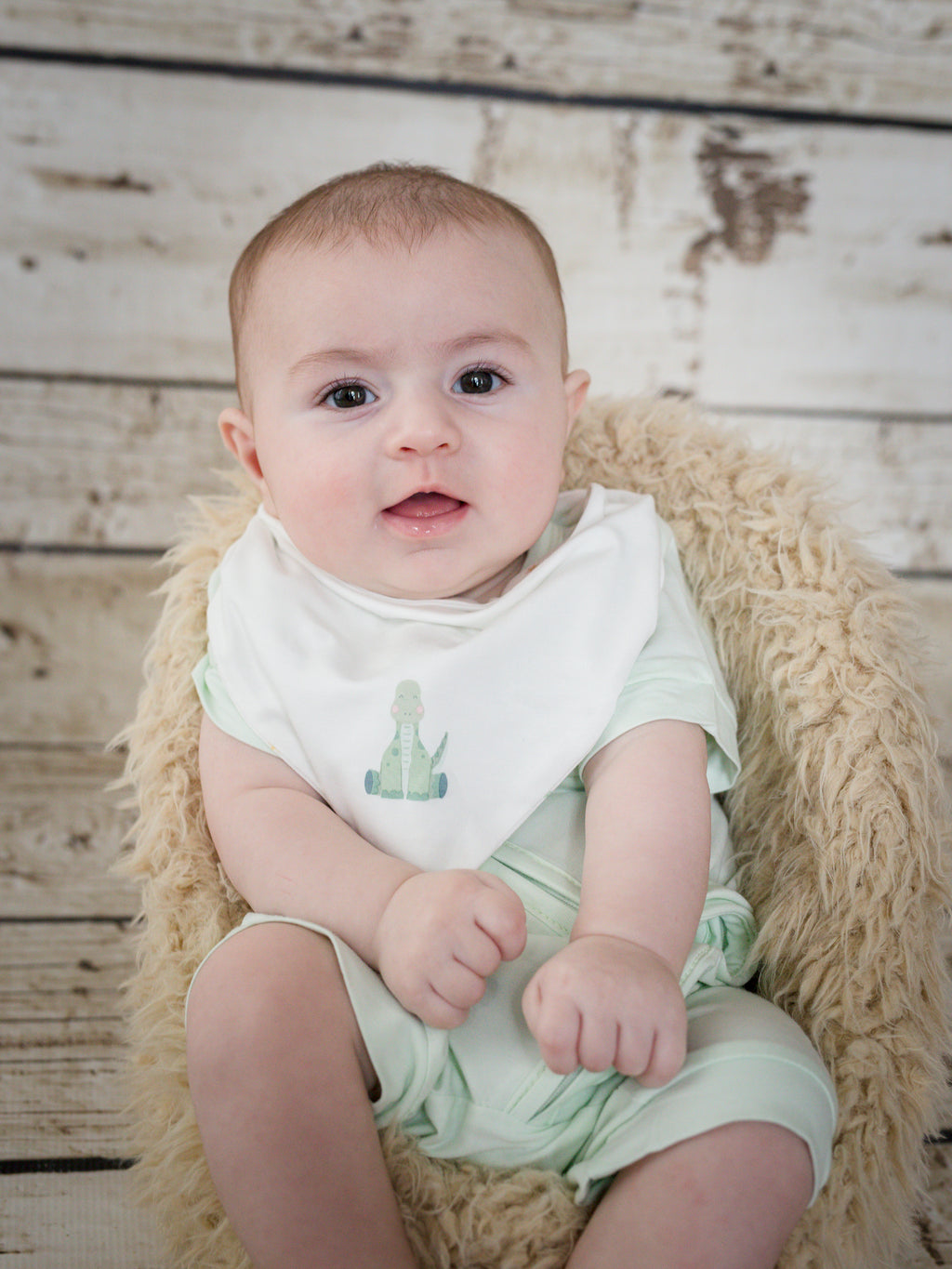 TravelTod Baby Bibs- Set of Two