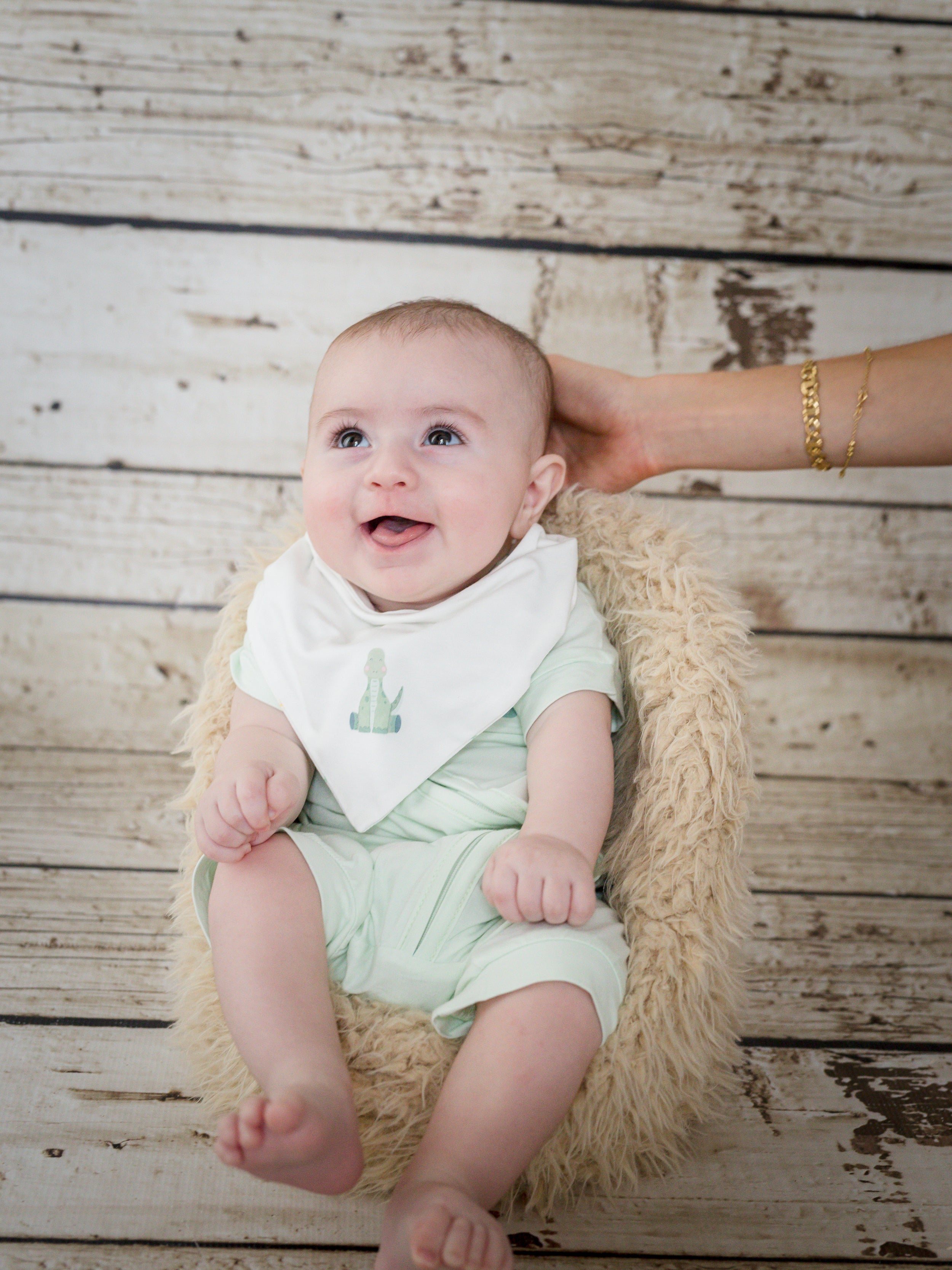 TravelTod Baby Bibs- Set of Two