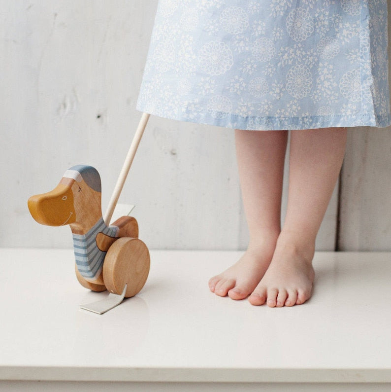 SARVA Push Toy Duck