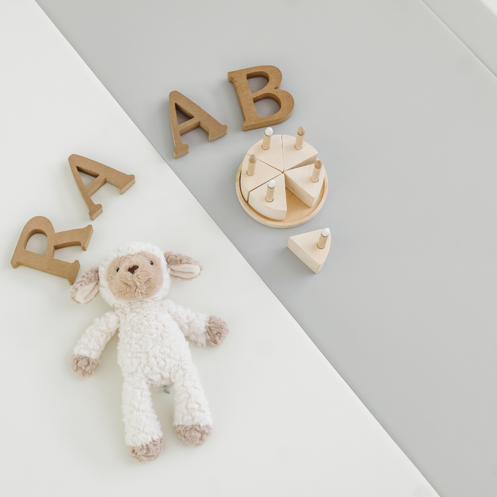 RaaB Family™ Baby SEAMLESS Playmat Toddler Premium Folding Mat 4CM Thick
